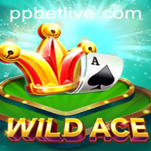 WildAce: The Thrilling World of PP BET